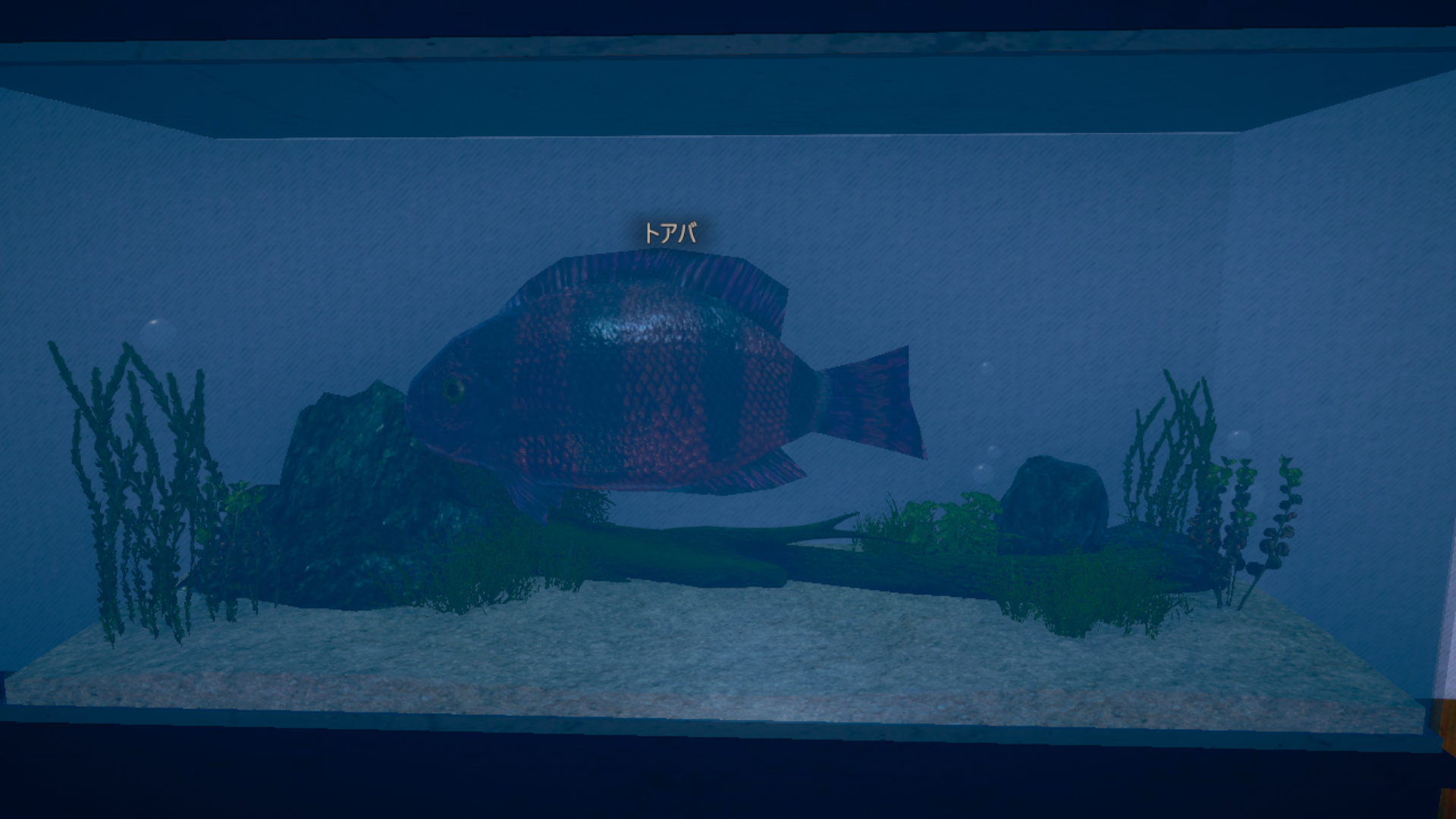 toaba1.png