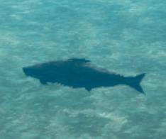 medium.png medium.png